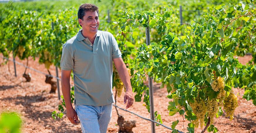 Rivulis permite a los agricultores de todo el mundo acceder a financiamiento para sistemas de microirrigación en el Perú