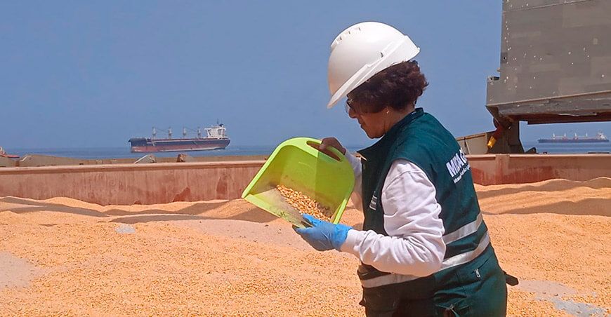 Senasa garantiza seguridad en la vigilancia de alimentos y mercancías agropecuarias en el megapuerto de Chancay Perú