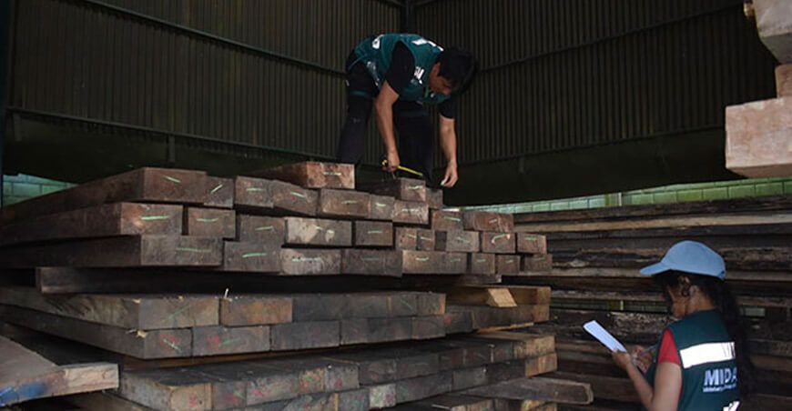 Serfor decomisó más de 3100 pies tablares de madera en San Gabán en Puno Perú