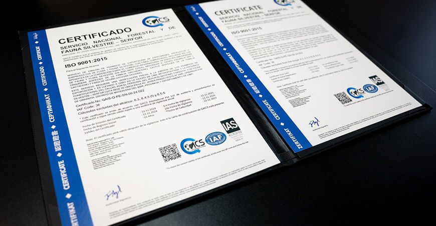 Serfor obtiene certificación ISO 9001:2015 y refuerza la gestión sostenible del patrimonio forestal Perú