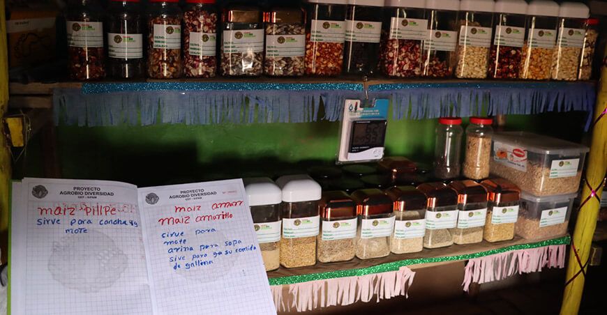 zona de Agrobiodiversidad de Andahuaylas, región Apurímac