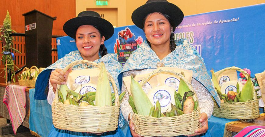 Acocro celebrará su riqueza agroecológica con festivales de papa, quinua y cultura viva Ayacucho Perú