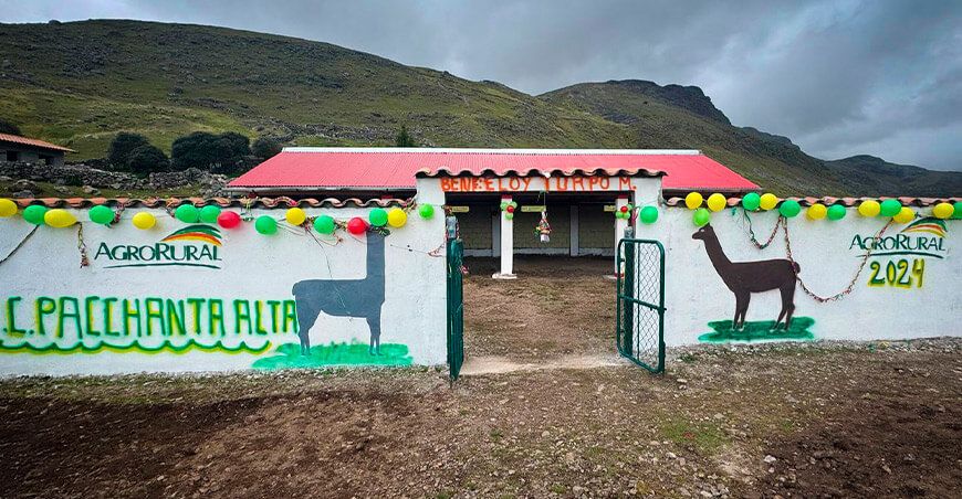 Agro Rural entregó cobertizos a ganaderos de la comunidad campesina de Pacchanta Alta de Cusco Perú