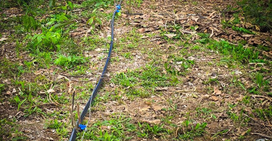 Inauguraron 17 pozos tubulares en beneficio de 195 productores en Madre de Dios