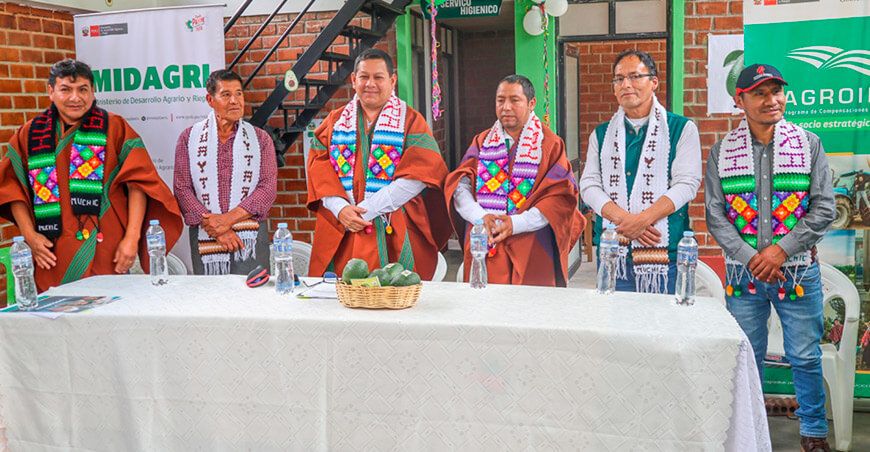 Agroideas instala el primer centro de acopio de palta en Huancavelica