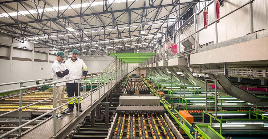 Perú exportación manzana peruana