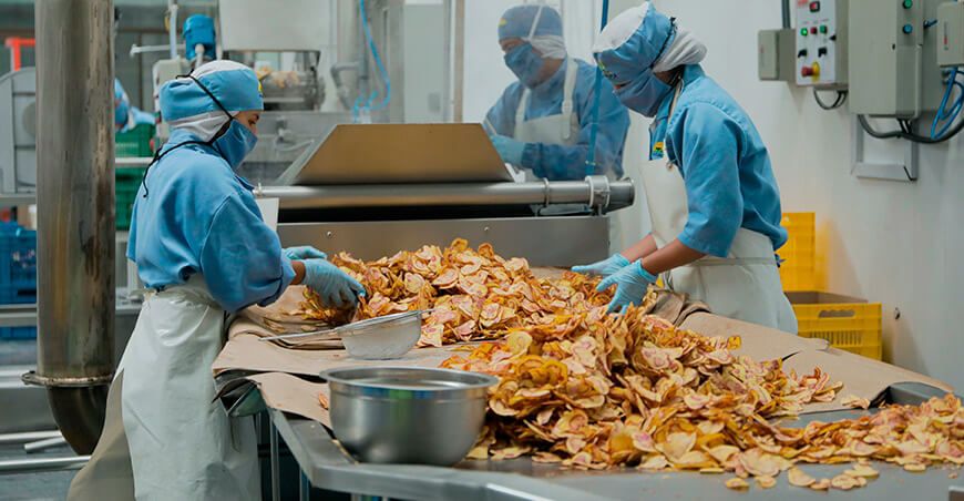 Agroindustria Perú hojuelas papas nativas