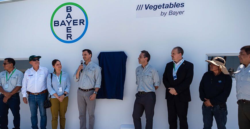 semillas de hortalizas Bayer Perú