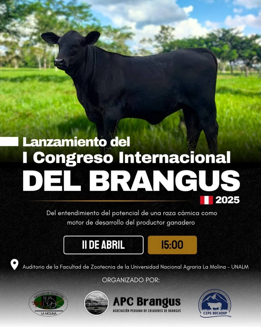 Perú será sede del I Congreso Internacional Brangus