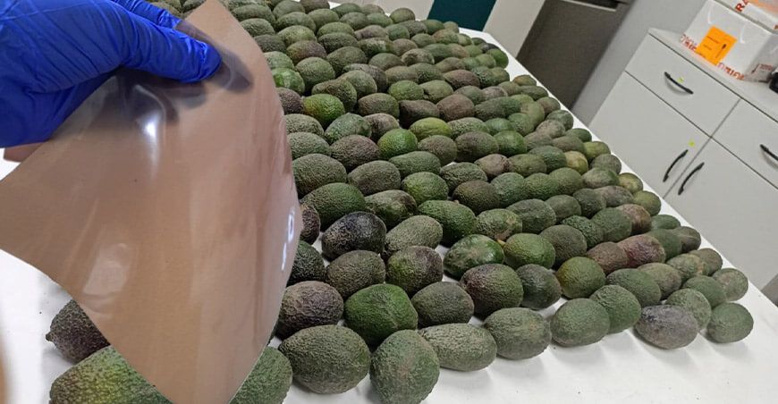 Empresa Jaime Javier y UNALM elaboraron bioplástico a partir de residuos de la industria de la palta
