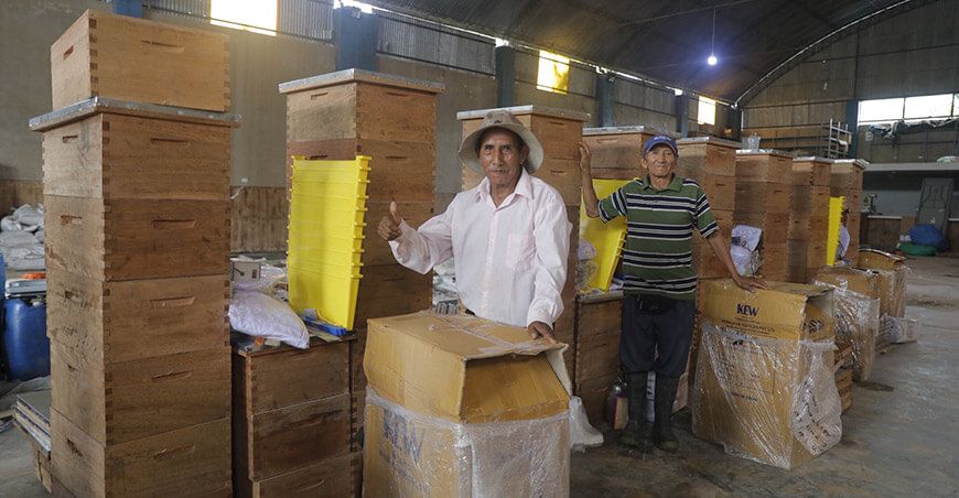 Devida impulsa apicultura Vraem productor apícola crianza de abejas Junín Perú