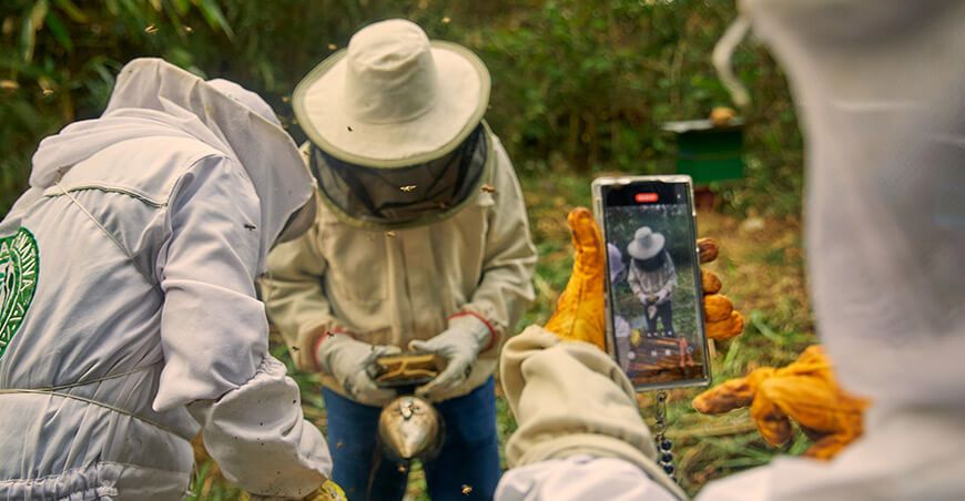 Escuelas de campo de Devida fortalecen la actividad apícola de familias de Cusco Perú
