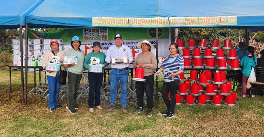Entregaron módulos demostrativos para la crianza de cuyes en Jauja Junín Perú