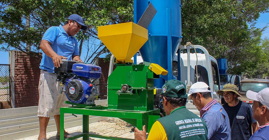 Entregan equipos y capacitación para fortalecer la crianza de cuyes de Lambayeque Perú