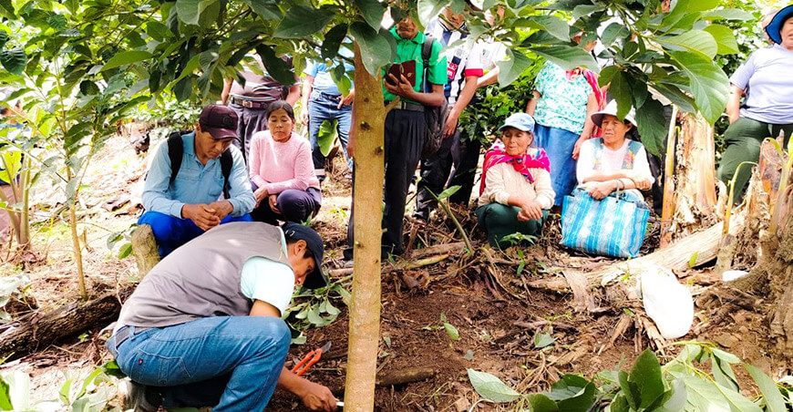 Fortalecen 130 Escuelas de Campo de fruticultores con entrega de insumos y herramientas Puno Perú