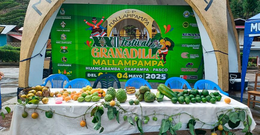 Festival de la Granadilla en Mallampampa Oxapampa Pasco Perú