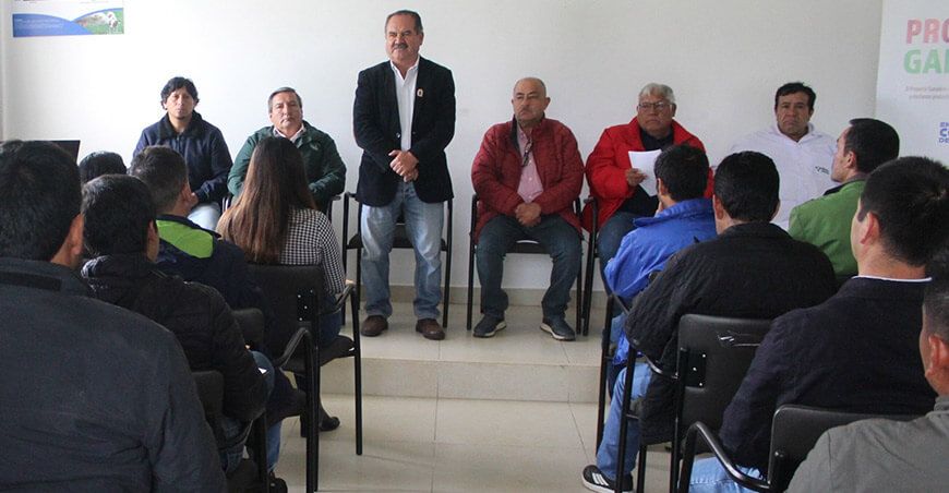 Cajamarca reinicia proyecto Ganadero en sus 13 provincias
