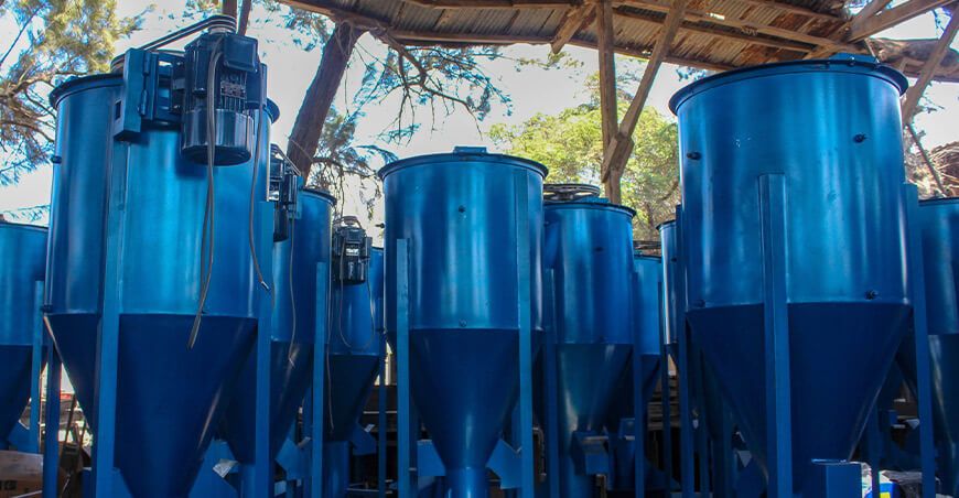 Entregaron equipos y capacitaron para fortalecer la crianza de cuyes en Lambayeque Perú