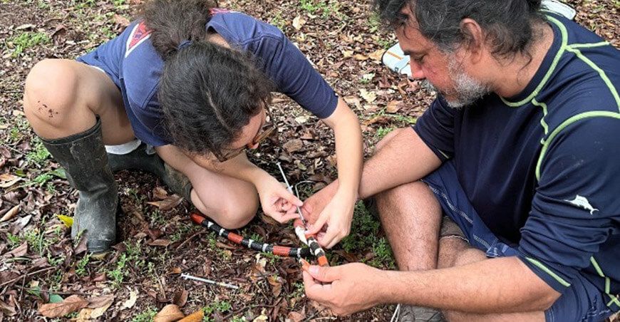 IIAP estudia el impacto de las carreteras en la biodiversidad amazónica peruana