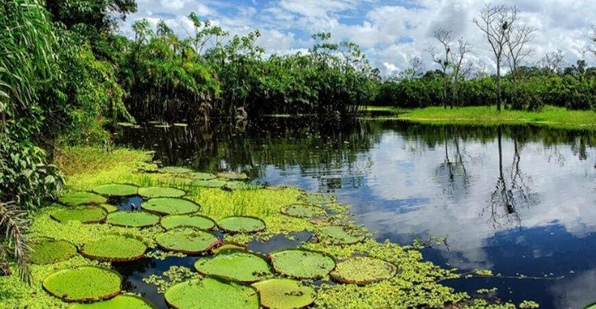 Nueva expedición del IIAP investigará ecosistemas y comunidades en la cabecera del río Tigrillo Loreto Perú