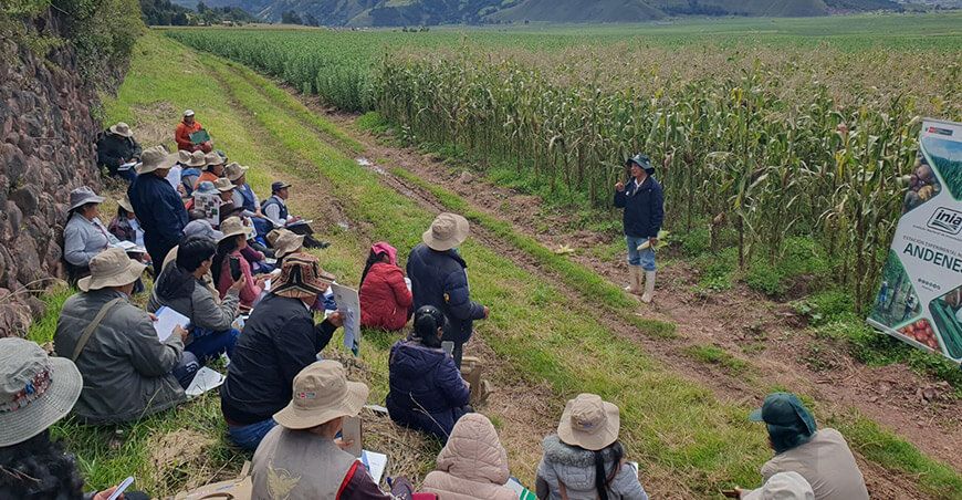 INIA transfirió tecnologías para mejorar la producción de maíz de alta calidad genética en Cusco Perú