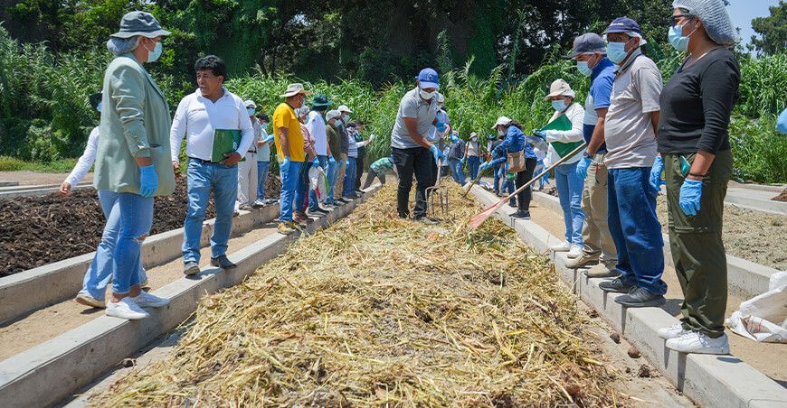 INIA certificó a productores como técnicos en elaboración de abono orgánico Perú