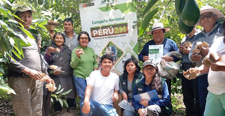 INIA transfirió tecnologías para reducir plagas y enfermedades en el cultivo de palto a productores de Moquegua Perú