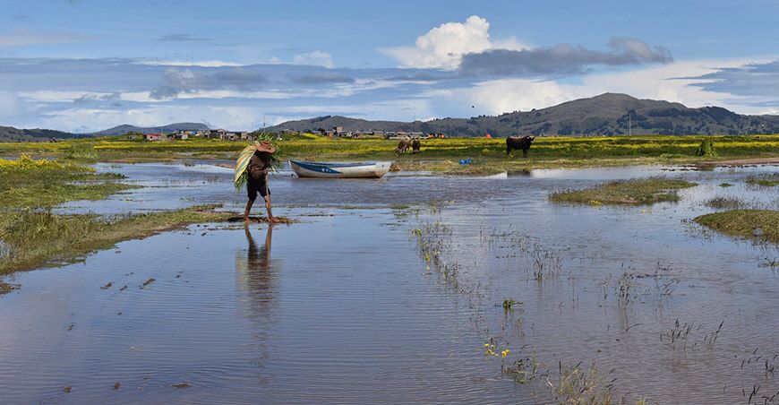 productores afectados por intensas lluvias Puno