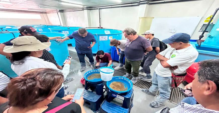 ITP impulsa la innovación en el manejo de tilapia entre acuicultores en San Martín