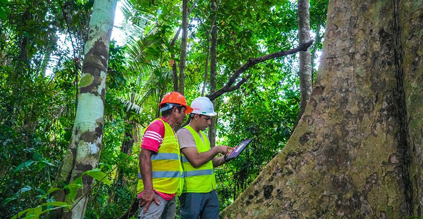 ITP presentó “DataBOSQUEAPP”, el aplicativo móvil offline para el sector forestal