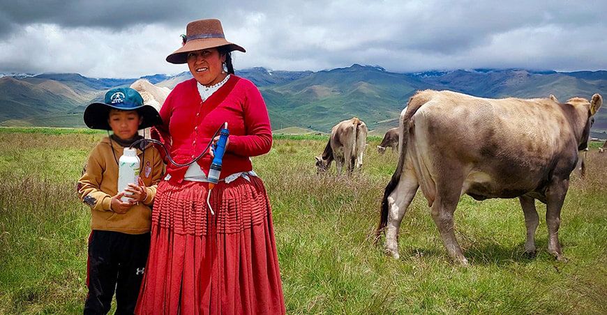 Entregaron kits veterinarios a 1790 familias ganaderas de Melgar en Puno Perú
