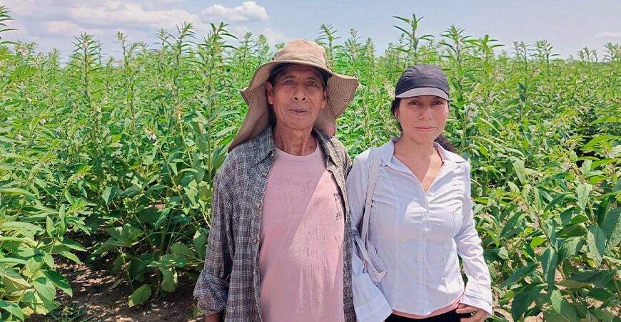 Midagri promueve cultivo de ajonjolí en Ucayali Perú