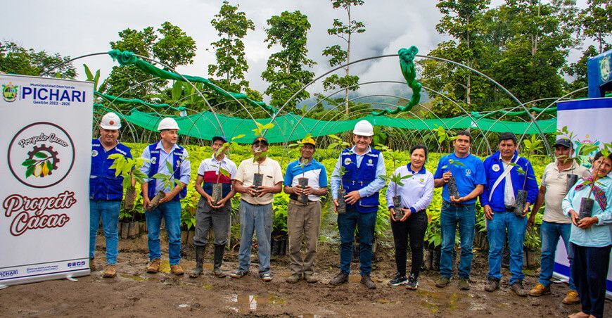 Entregaron 100 000 plantones de cacao de alta calidad a productores de Pichari Cusco Perú