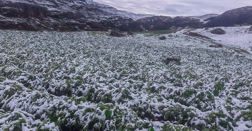 nieve granizada sierra Perú