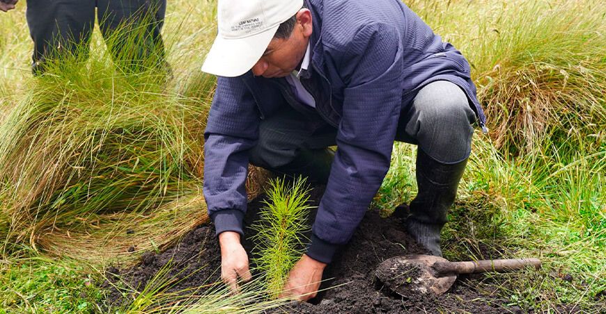 Serfor otorgó más de S/6 millones para impulsar la producción forestal en 929 hectáreas en Cajamarca Perú