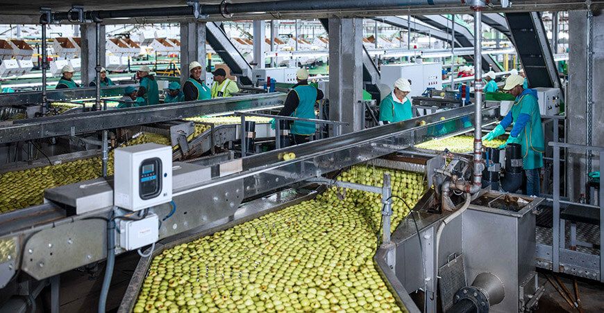Perú exportación manzana peruana