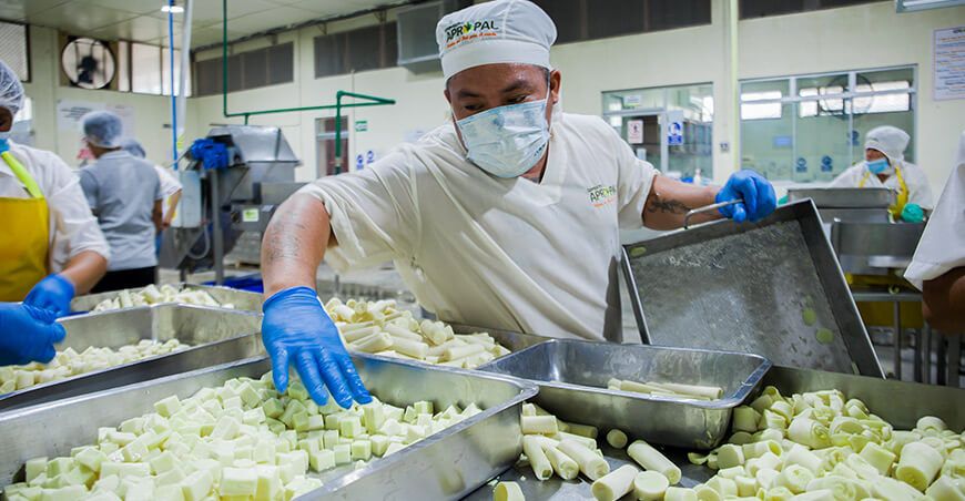Perú exportaciones de palmito peruano