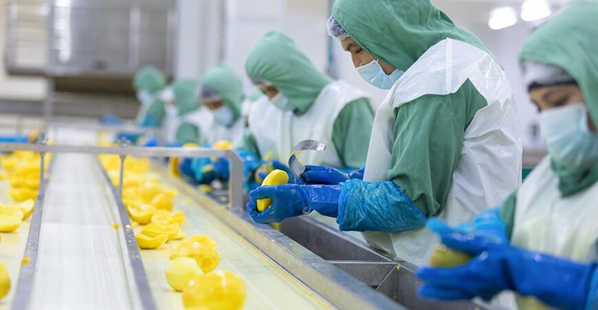 exportación pulpa de mango peruano