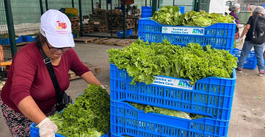 Gobierno aprobó el reglamento de la ley para la recuperación de alimentos frescos en mercados de abasto