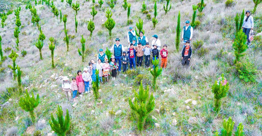 PESCS Midagri recupera 800 hectáreas de cobertura vegetal en Santo Tomás Huancavelica Perú