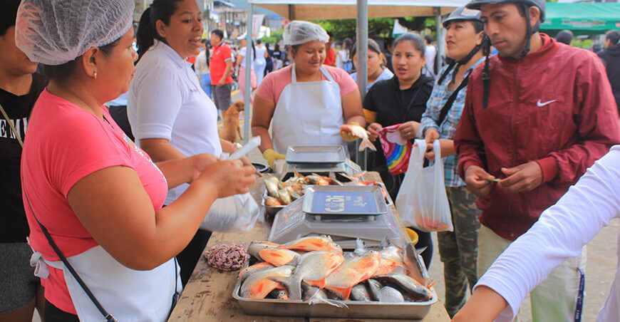 Piscicultores del desarrollo alternativo ofertarán pescado fresco en Semana Santa en Huánuco Perú