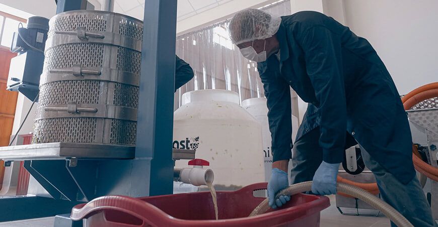 Inician producción gratuita de vino en nueva planta procesadora de Tacna