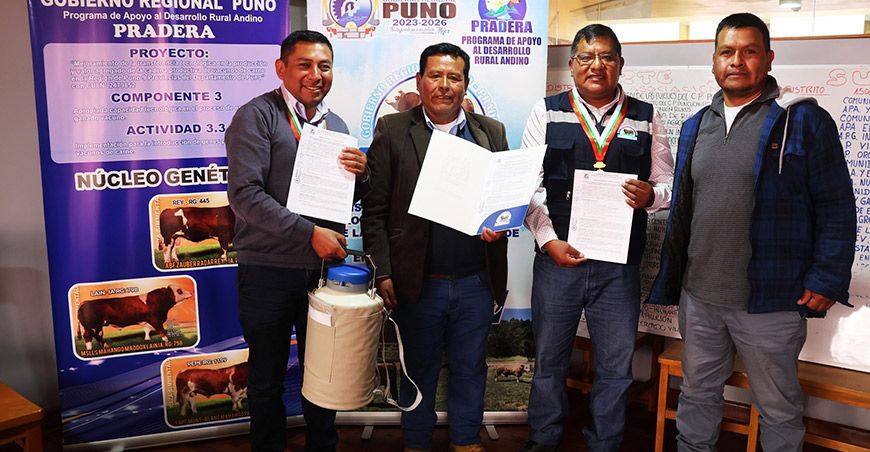 Puno impulsa mejoramiento genético con entrega de semen bovino Simmental
