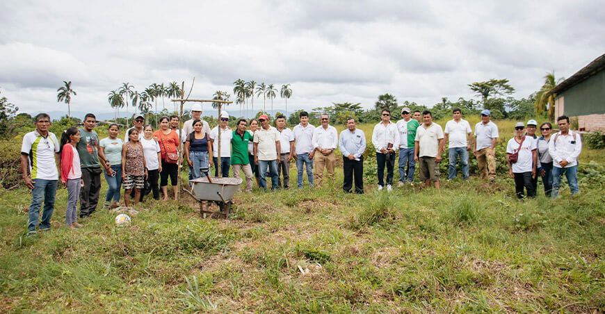 Cooperativa Agraria Apropal, ubicada en el distrito Caynarachi, mejorará producción de palmito conserva San Martín Perú
