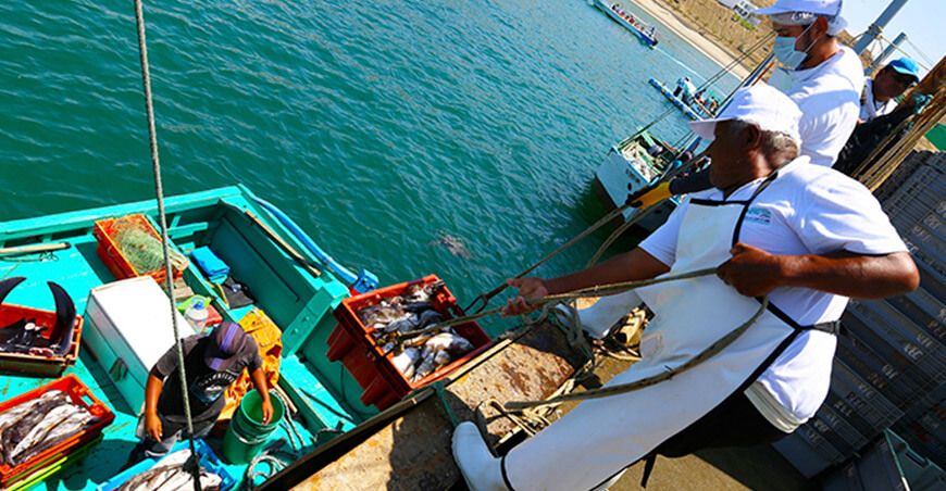 Produce actualiza reglamento de inocuidad para pesca y acuicultura y refuerza la seguridad jurídica del sector Perú