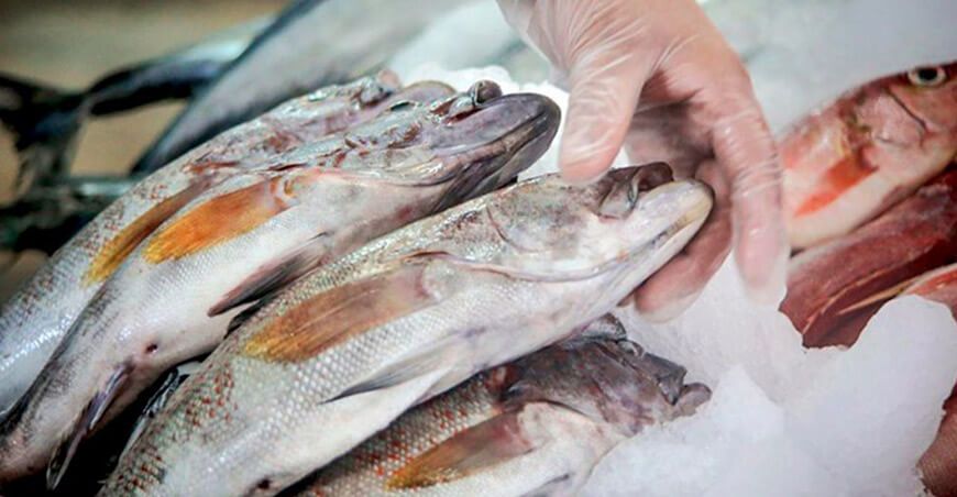 Produce promueve el consumo seguro y responsable de pescados y mariscos durante Semana Santa