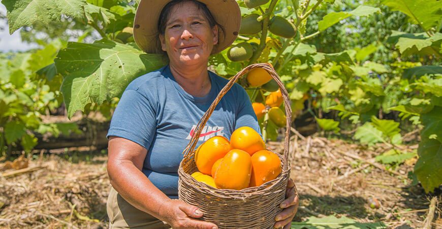 productora de cocona Pichari Cusco