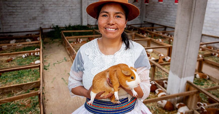 productora de cuy Perú