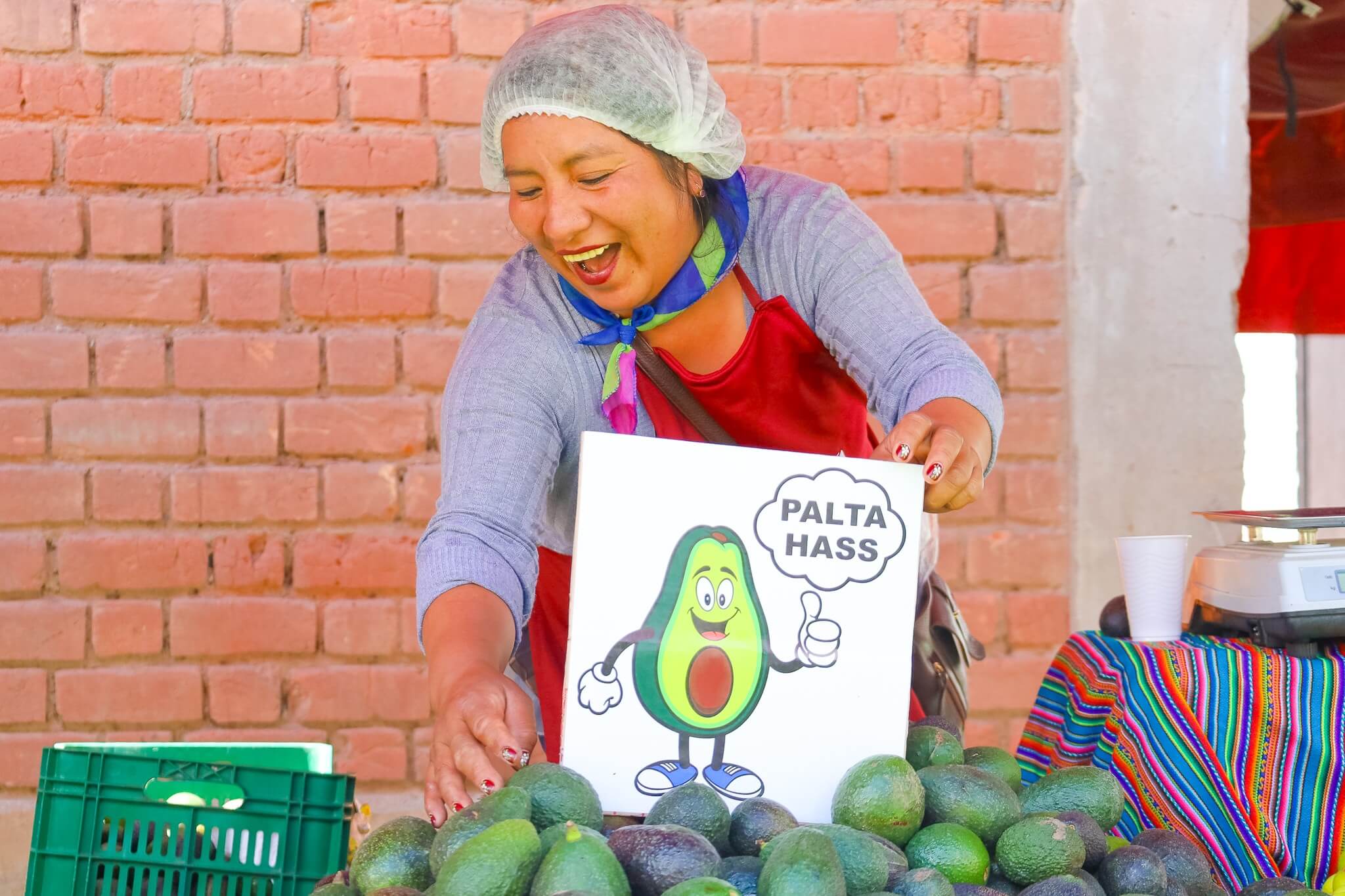 productora de plata Hass Cusco Perú