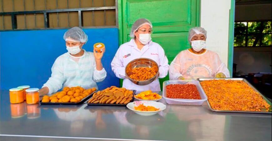: Productores se capacitaron en economía circular aplicada a la cadena de valor de la cúrcuma Ayacucho ITP Perú